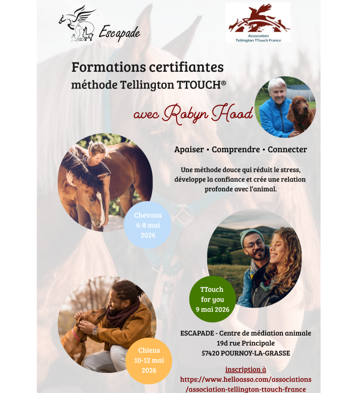 Formation Tellington TTouch �quin